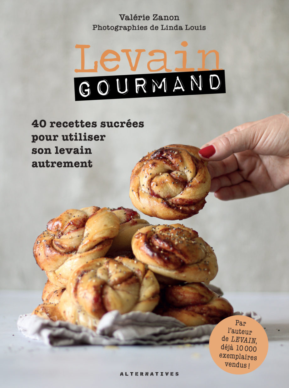 livre levain gourmand alternatives