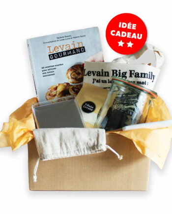 livre levain gourmand vilain levain